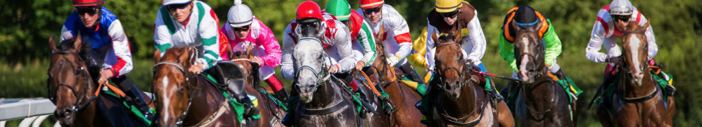 CHESTER MAY FESTIVAL HOSPITALITY PACKAGES