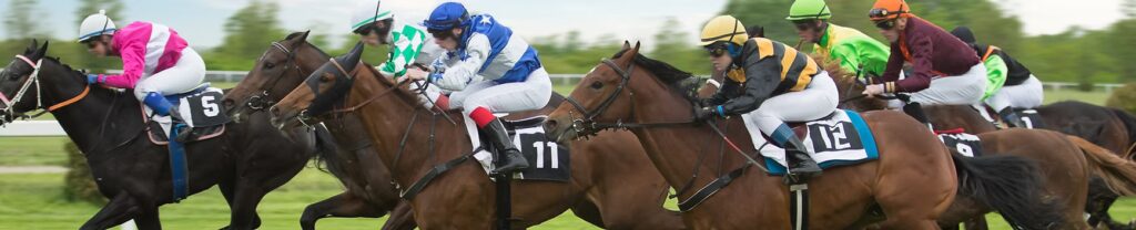 GRAND NATIONAL HOSPITALITY | OPENING DAY