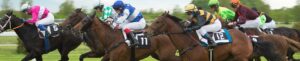 grand national ladies day hospitality