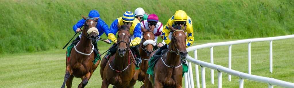 CHESTER MAY FESTIVAL HOSPITALITY PACKAGES