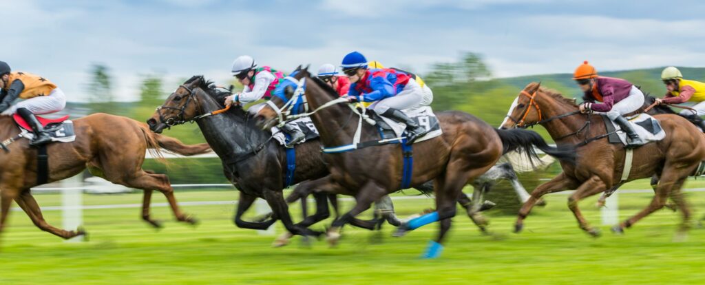 Grand National Ladies Day Hospitality