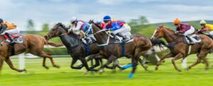 grand national ladies day hospitality