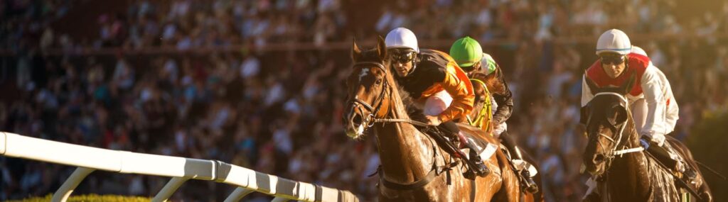 royal ascot tuesday hospitality