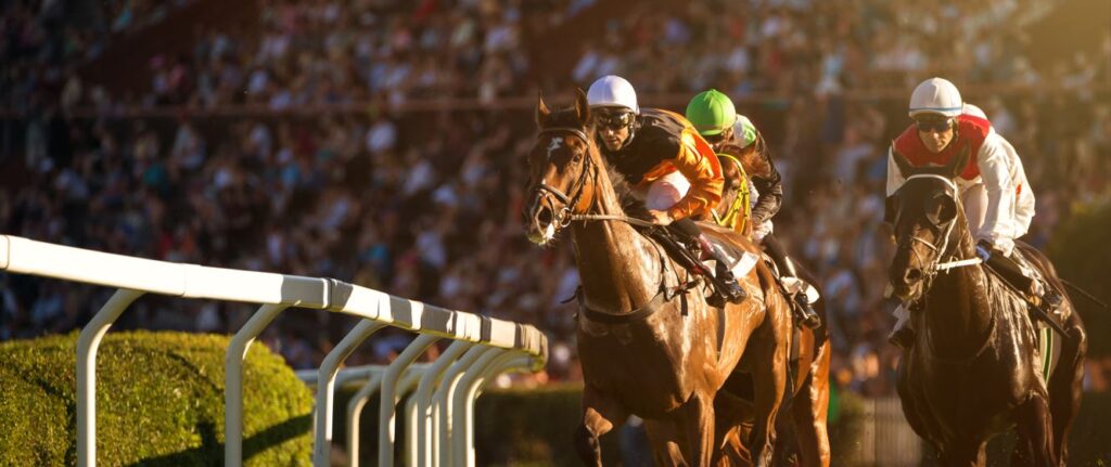 ROYAL ASCOT LADIES DAY HOSPITALITY