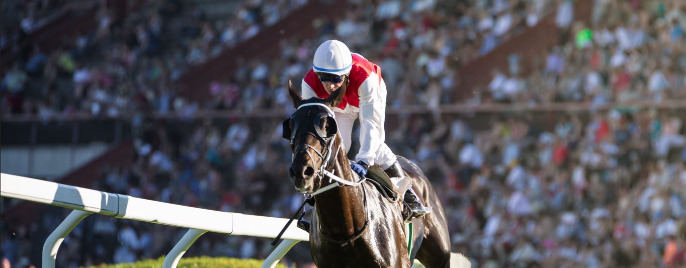 Epsom Season Finale Hospitality