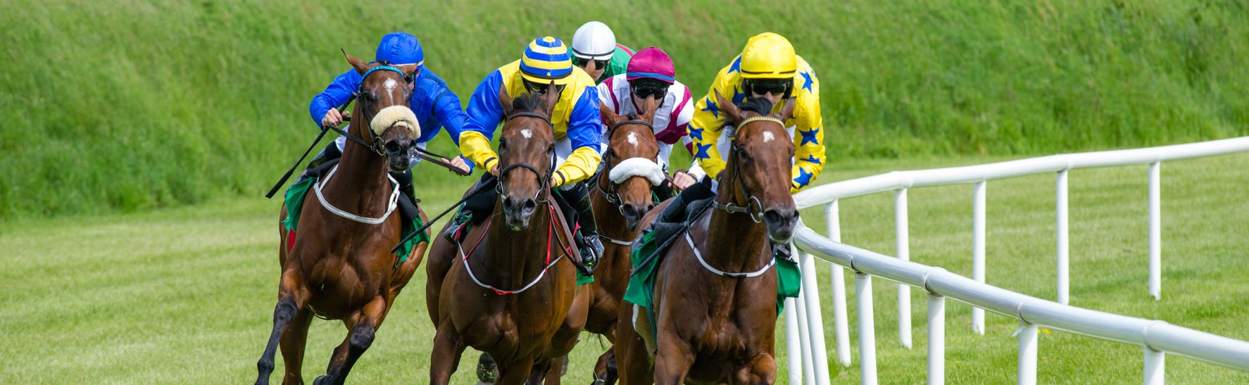 York John Smith’s Cup Meeting
