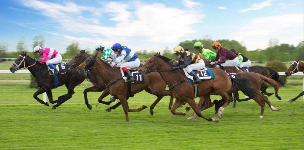 GOODWOOD AUTUMN RACING HOSPITALITY