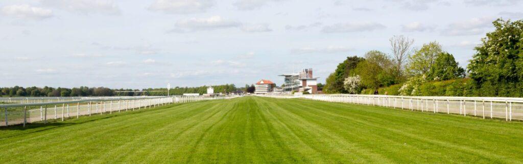 YORK EBOR FESTIVAL HOSPITALITY | FRIDAY