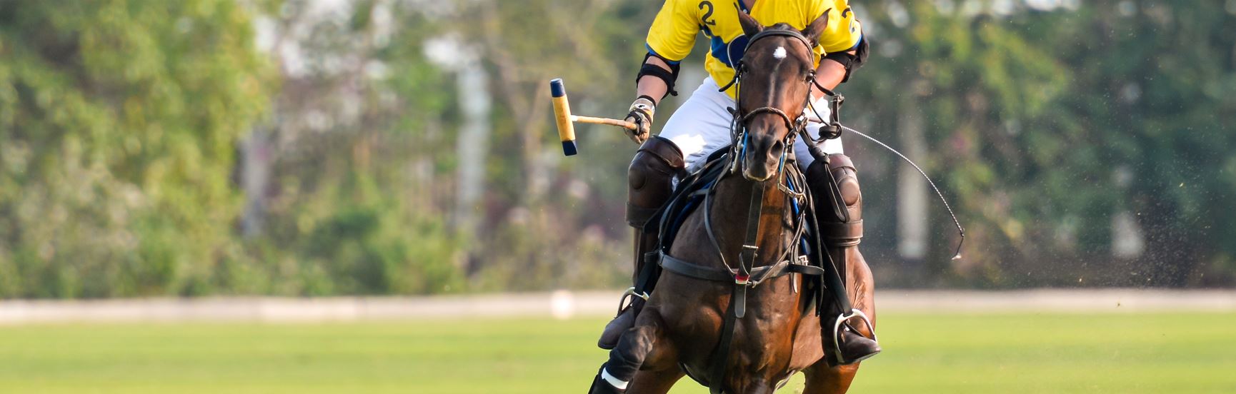 Archie David Cup Final - Guards Polo Club