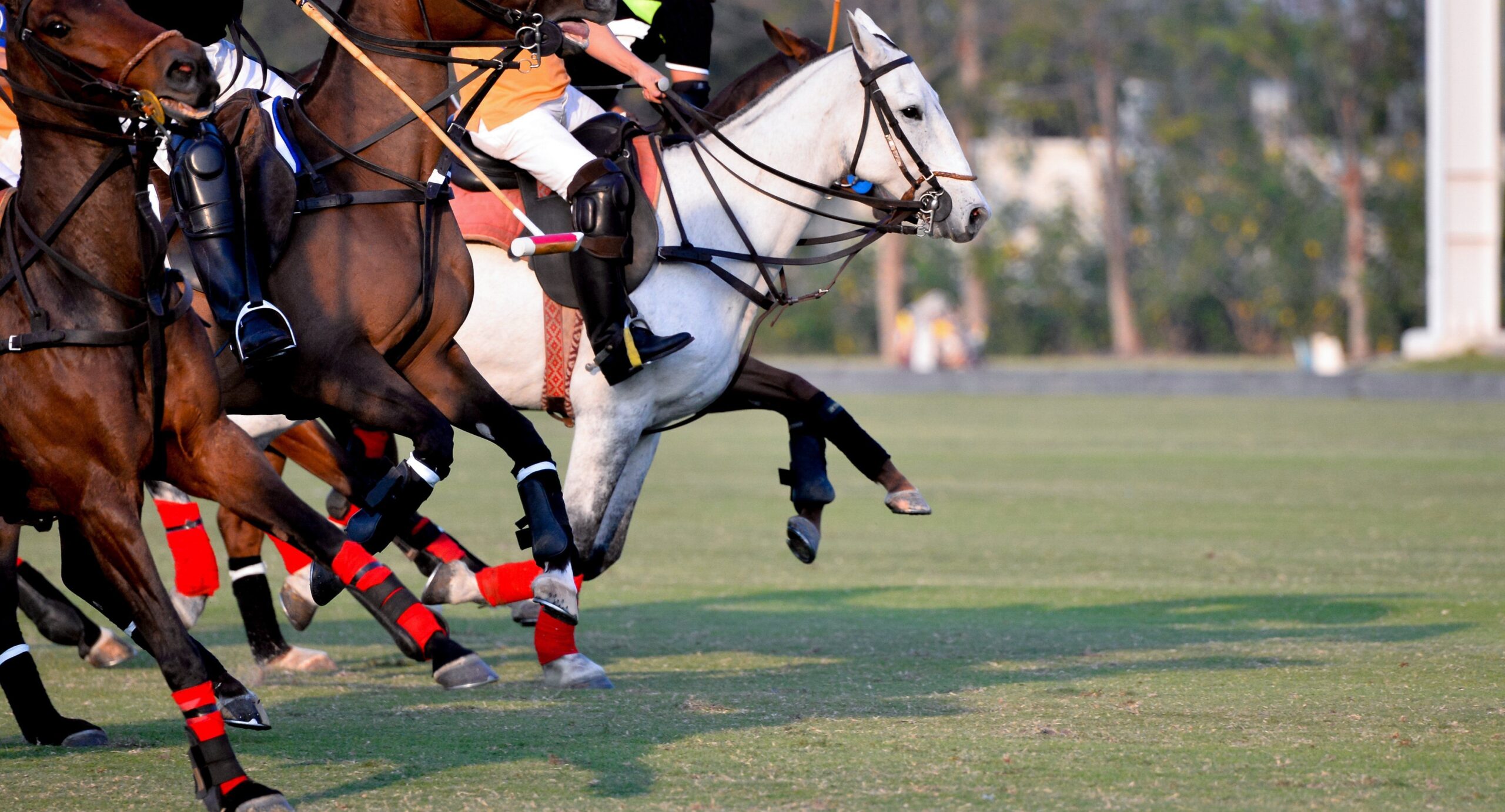 Guards Polo Club Hospitality