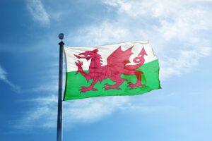 wales v japan autumn internationals hospitality