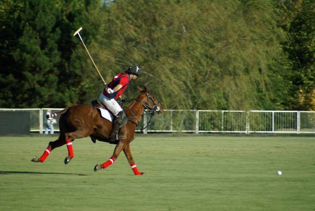 ROYAL WINDSOR CUP FINAL HOSPITALITY