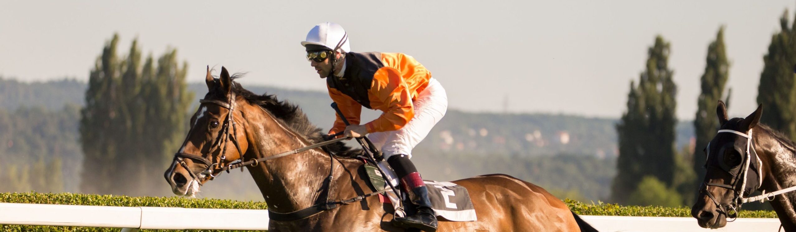 Goodwood Racecourse Hospitality