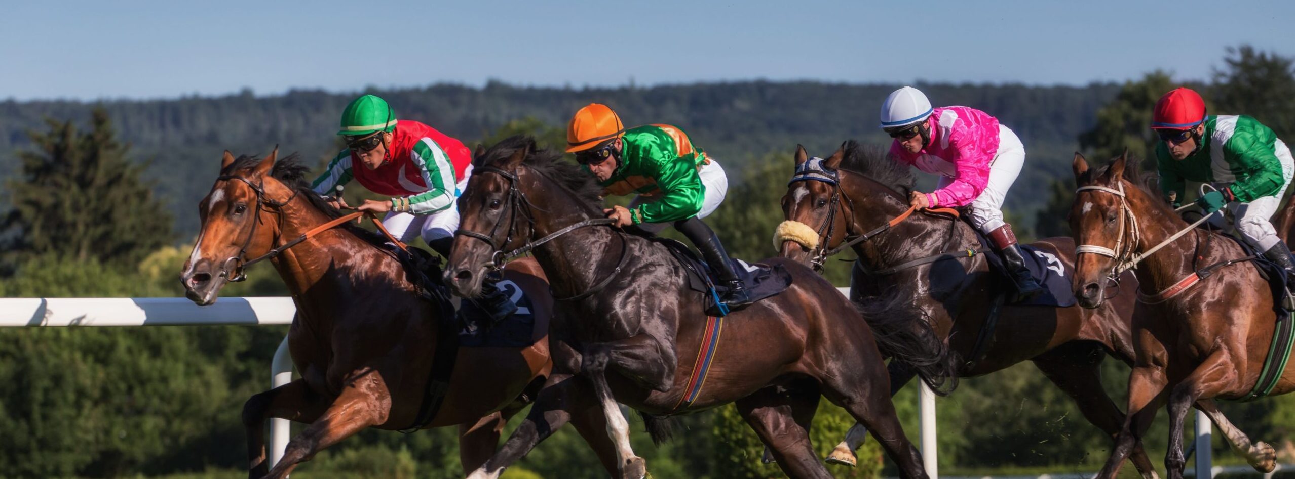 Qatar Goodwood Festival Hospitality