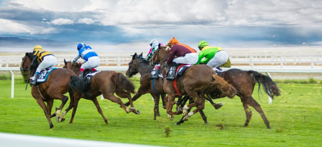 ASCOT AUTUMN RACE MEETING HOSPITALITY