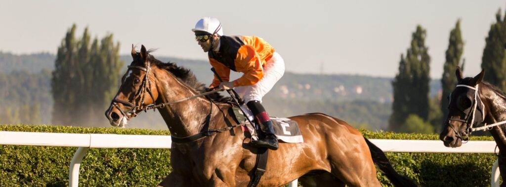 ASCOT CHASE DAY HOSPITALITY