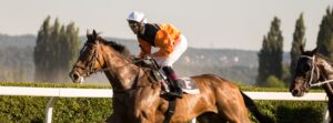 ascot chase day hospitality