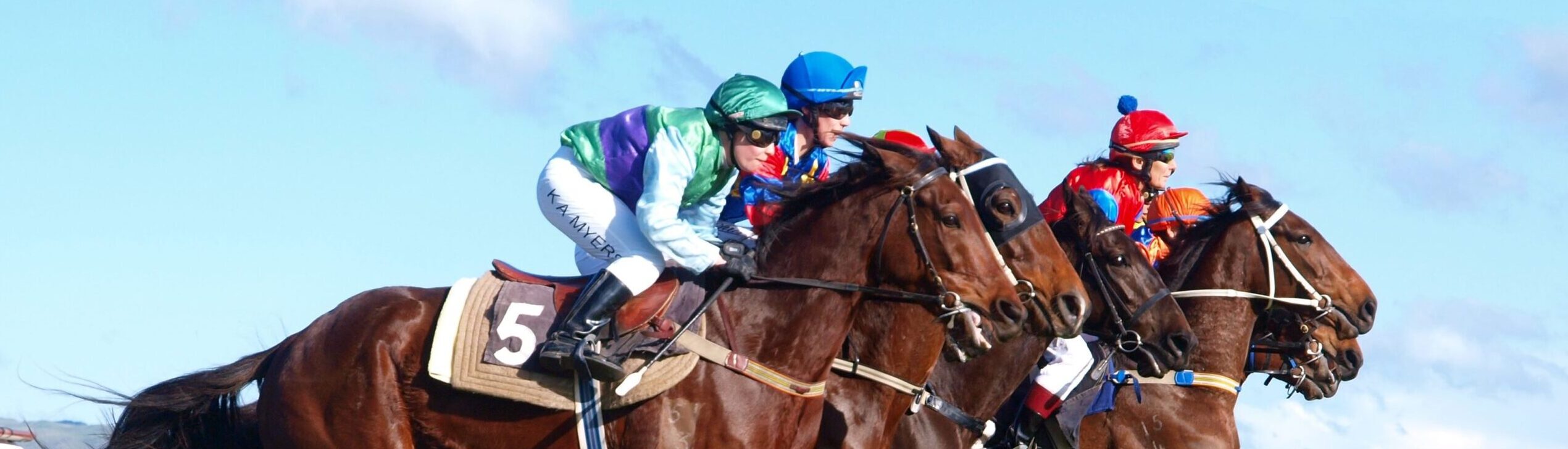 Ascot Chase Day