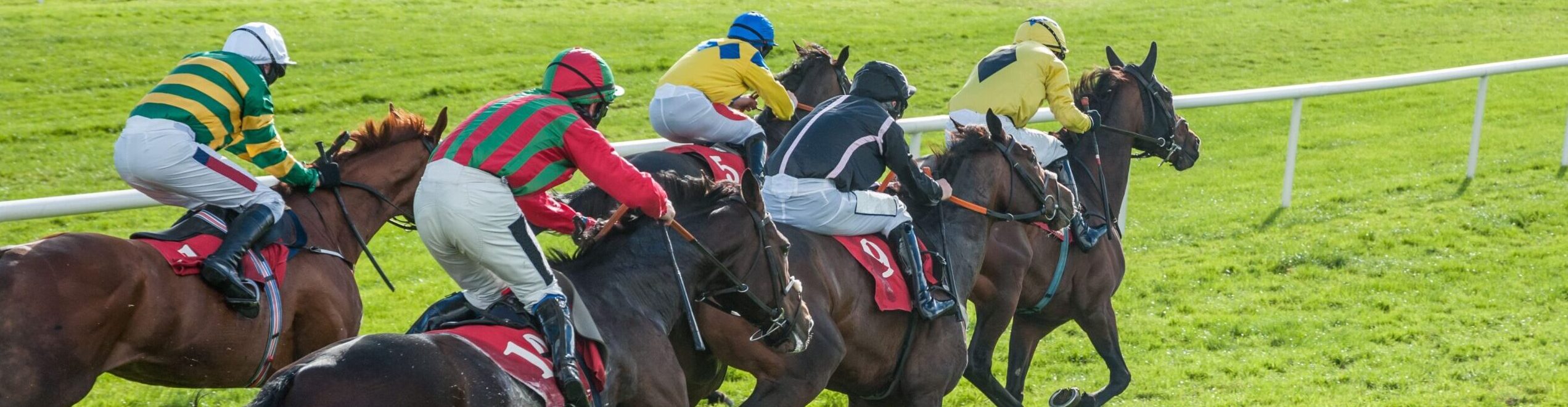 Ascot King George Racing Weekend