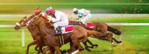 november racing weekend hospitality at ascot racecourse
