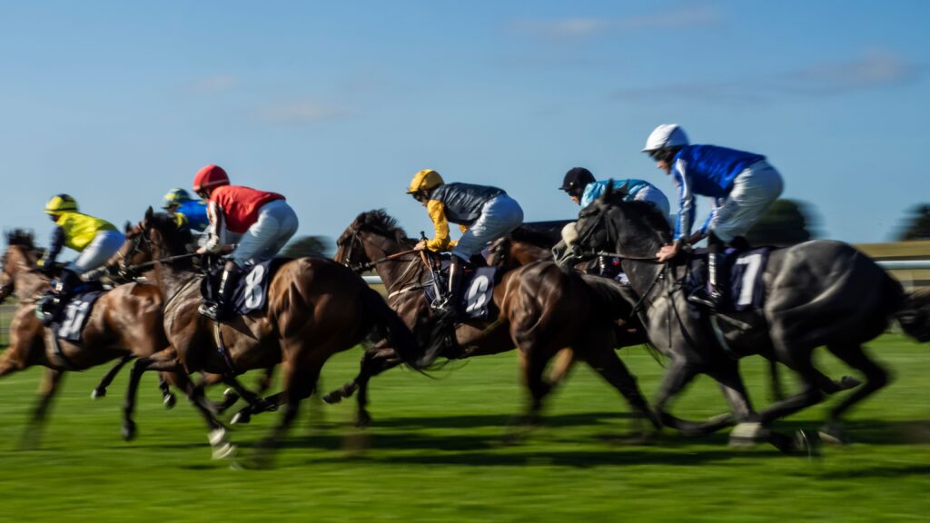 GOODWOOD MAY FESTIVAL HOSPITALITY