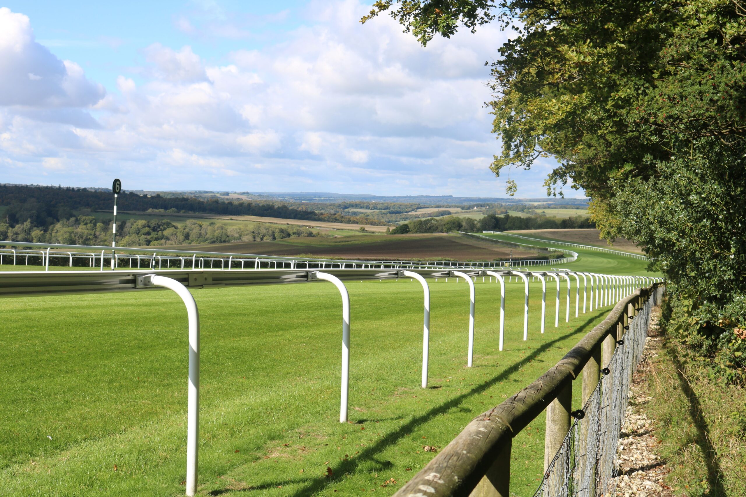 GOODWOOD SEASON OPENER