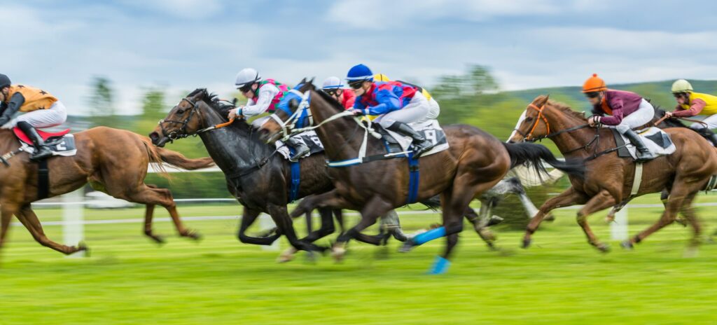 Goodwood Autumn Racing Hospitality 2026
