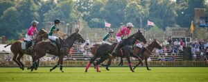 cowdray gold cup final hospitality