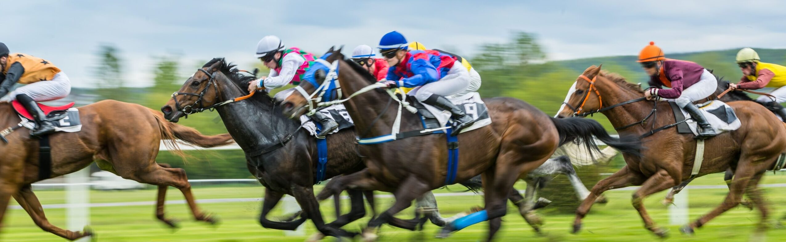Cheltenham November Meeting Hospitality