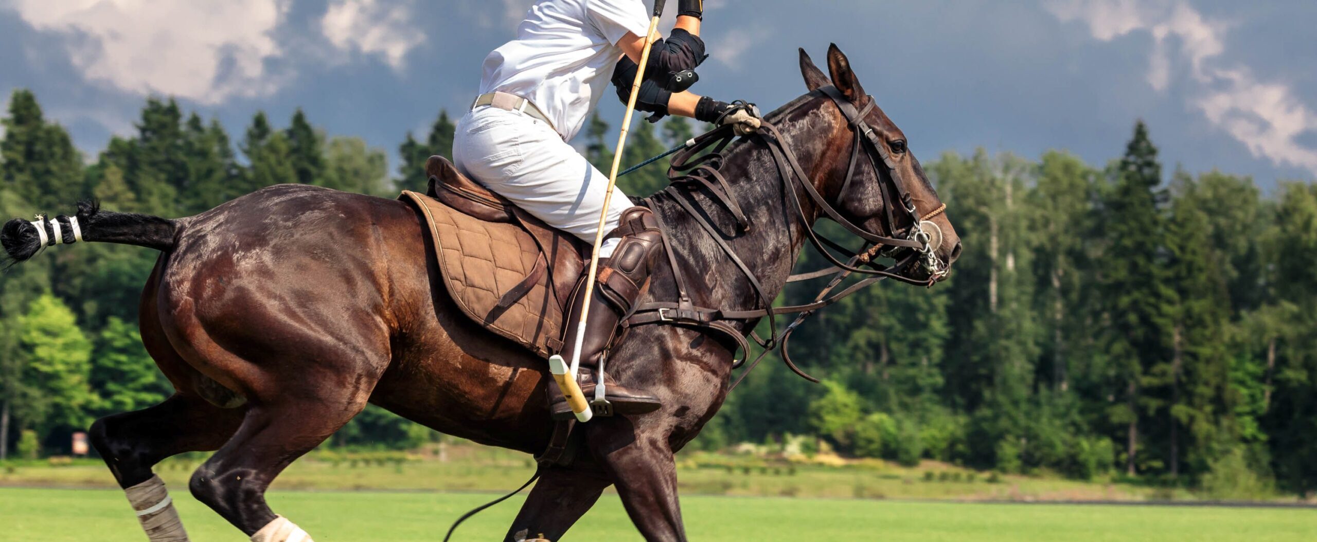 Featured VIP & Corporate Hospitality Events