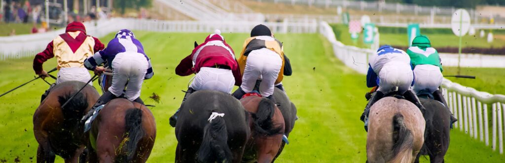 cheltenham festival trials day hospitality packages
