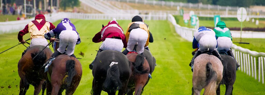 showcase hospitality packages