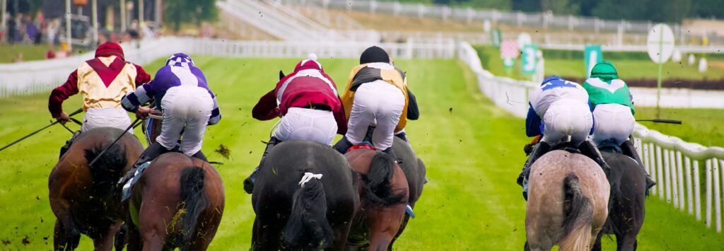 cheltenham november meeting hospitality packages